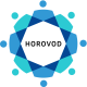 Horovod Training in Singapore