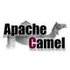 Apache Camel Training in Singapore