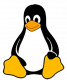 Embedded Linux Training in Singapore