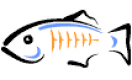 GlassFish Training in Singapore