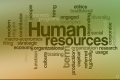 Image for Human Resources (HR) category
