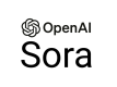 Sora Training in Singapore