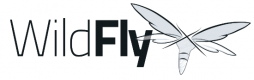 Wildfly Training in Singapore